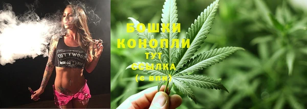 гашиш Богданович