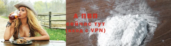 spice Богородицк