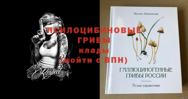 гашиш Богданович