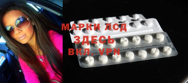 spice Богородицк