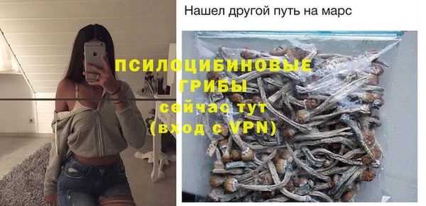 таблы Богородск