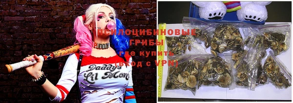 таблы Богородск