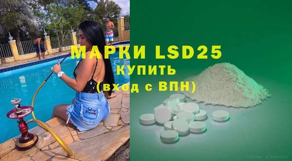 spice Богородицк
