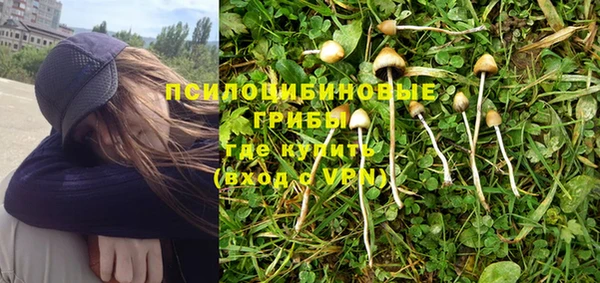 таблы Богородск