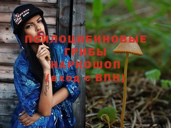 spice Богородицк