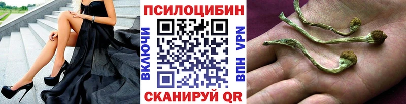 Псилоцибиновые грибы MAGIC MUSHROOMS  shop какой сайт  Гулькевичи  даркнет сайт  kraken ссылки 