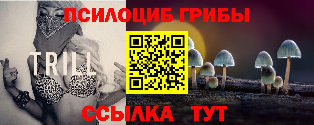 Галлюциногенные грибы ЛСД  Галлюциногенные грибы Psilocybe  Гулькевичи  Вход с VPN 