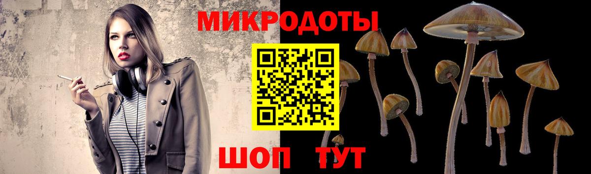 Галлюциногенные грибы Cubensis Гулькевичи